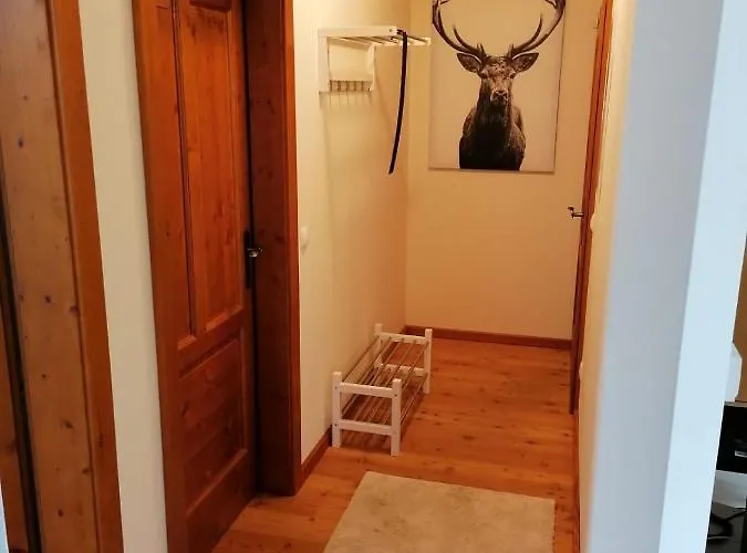 Apartment Charly Bad Kleinkirchheim